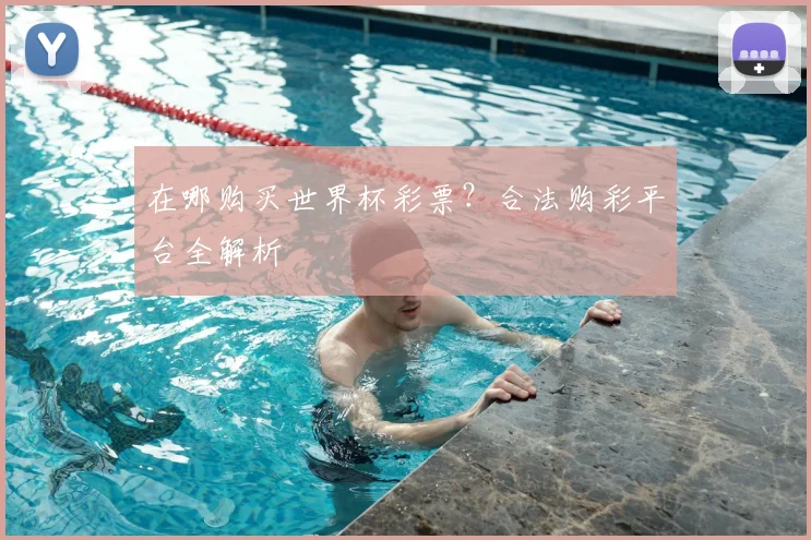 在哪购买世界杯彩票?合法购彩平台全解析