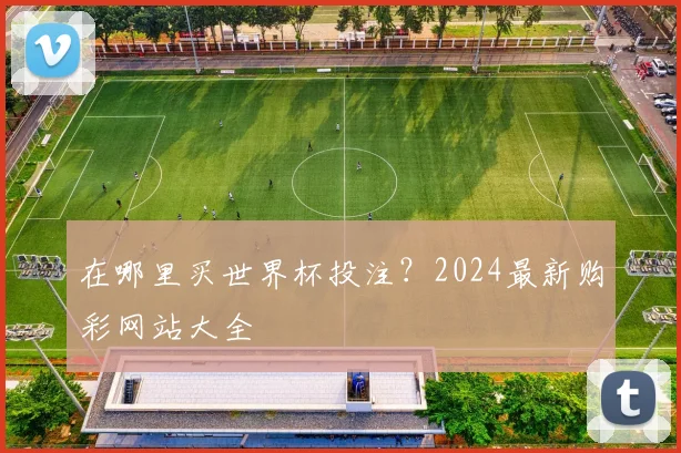 在哪里买世界杯投注?2024最新购彩网站大全