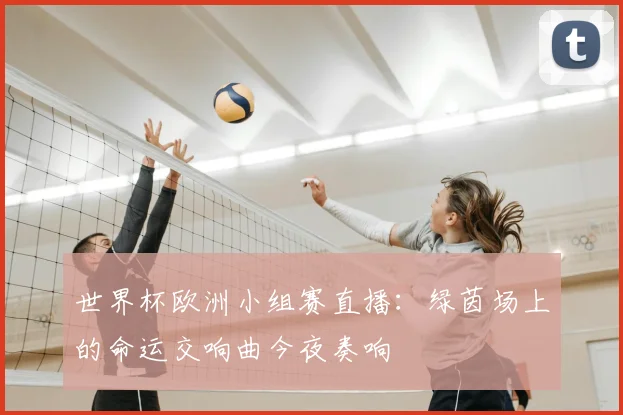 世界杯欧洲小组赛直播：绿茵场上的命运交响曲今夜奏响