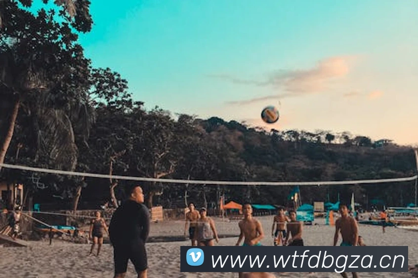 九游官网登录入口发展历程